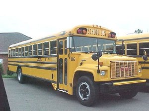 School Bus 